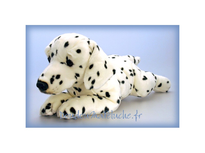 Peluche de chien Dalmatien, Domino, taille 50cm. Peluche de très grande  qualité, que du bohneur.