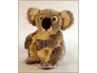 Peluche Koala 28cm