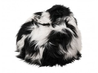 Pouf Coussin Peau de Mouton Islande Blanc et Noir Poils longs