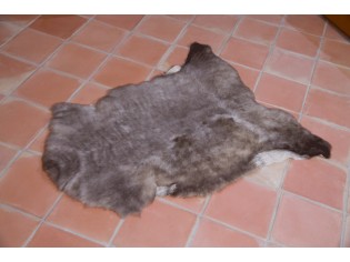 Peau de mouton UK Rare 90/100cm 06