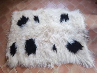 Tapis peau de mouton Islande 4 peaux poils longs TPM008