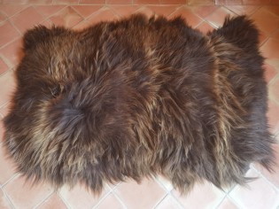 Tapis peaux de mouton, Islande, 3 peaux, Marron rustique naturel