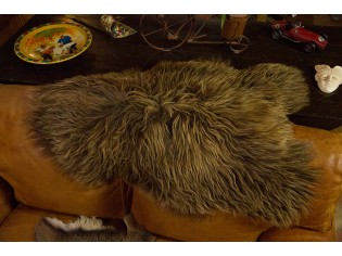 Peau de mouton naturelle marron | Tapis peau de mouton IS-MRN-6-0126