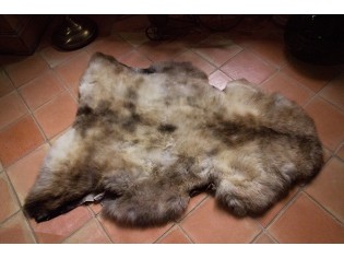 Peau de mouton naturelle | Tapis peau de mouton | Peau origine: UK
