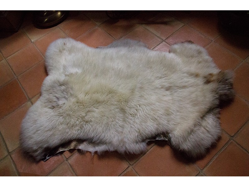 Peau de mouton naturelle | Tapis peau de mouton | Peau origine: UK