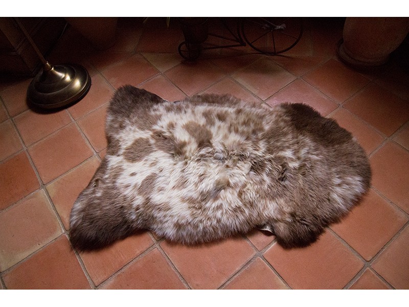 Peau de mouton naturelle | Tapis peau de mouton | Petite peau Albanian