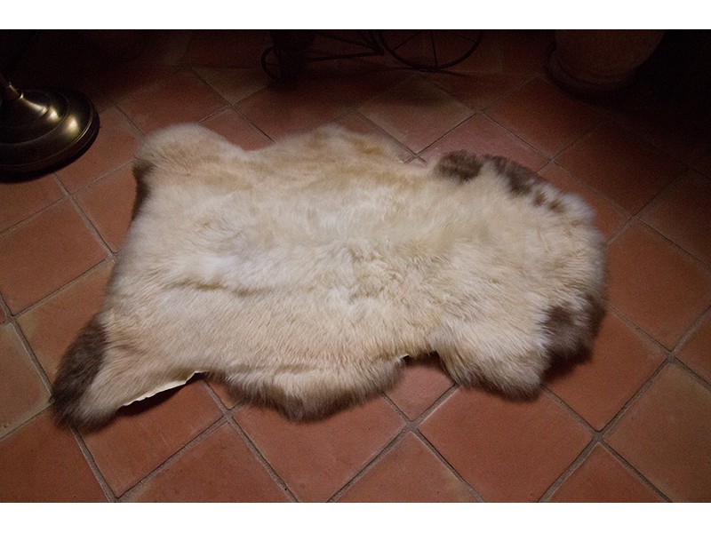 Peau de mouton naturelle | Tapis peau de mouton | Petite peau Albanian