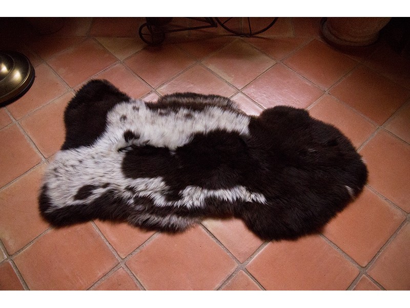 Peau de mouton naturelle | Tapis peau de mouton | Petite peau Albanian