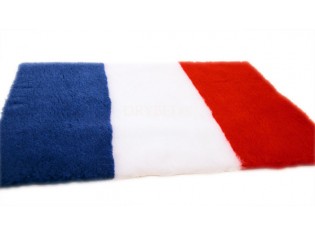 Tapis chien Drybed® antidérapant DRAPEAU FRANÇAIS