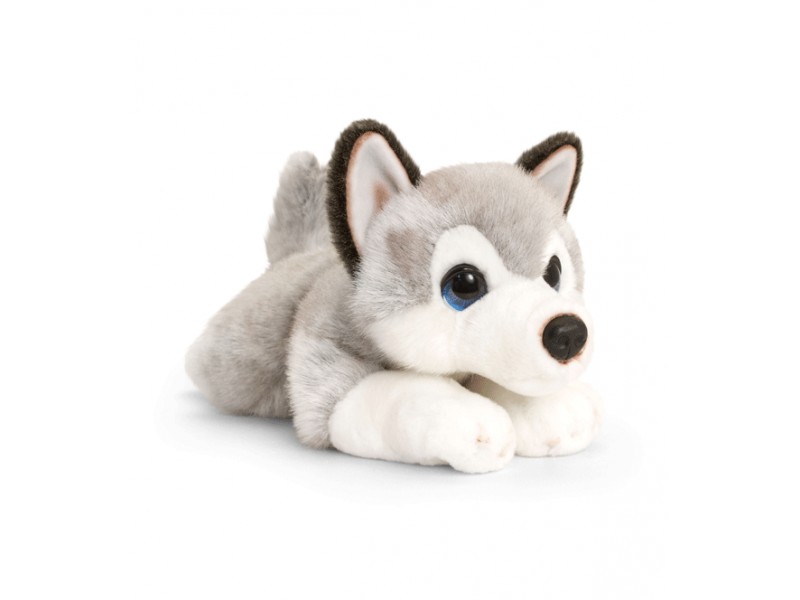 Peluche chien, chiot Husky