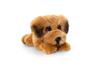 Chiot Terrier irlandais Cuddle Puppy