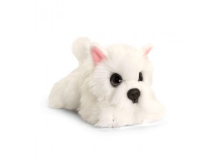 Chiot Westie Cuddle Puppy