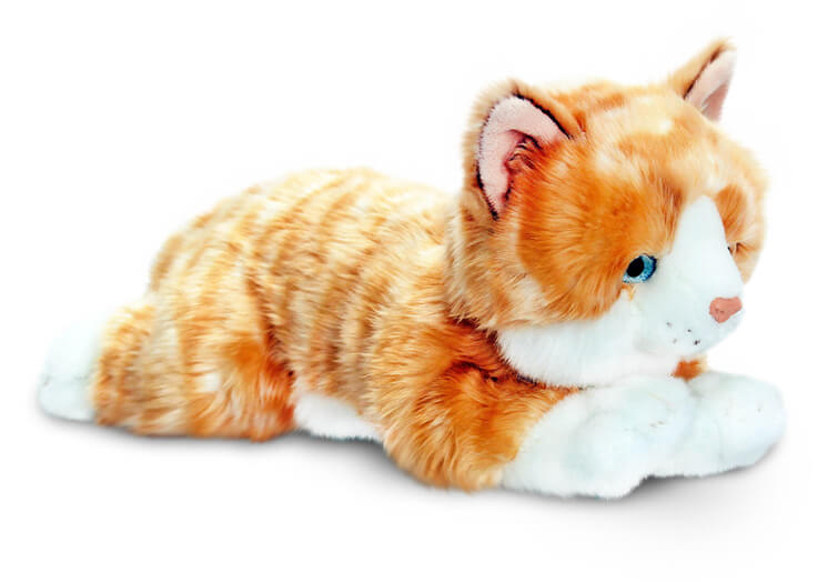 chat peluche